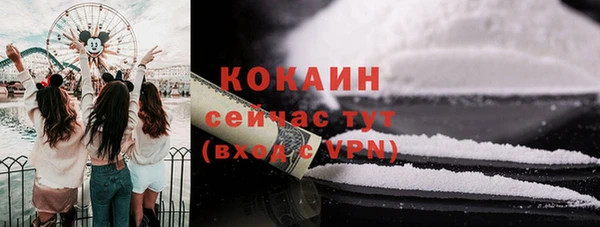 спайс Пересвет