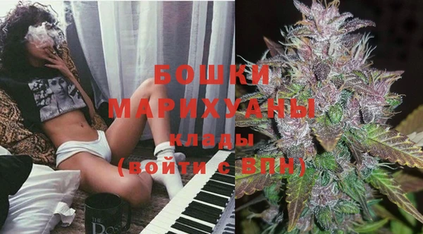 спайс Пересвет