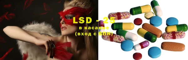ГАЛЛЮЦИНОГЕННЫЕ ГРИБЫ Остров