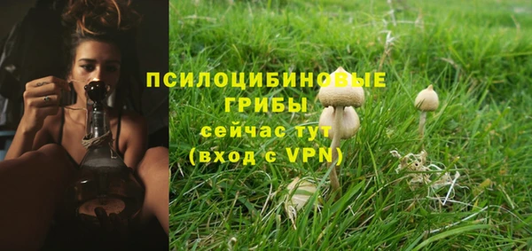дмт Переславль-Залесский