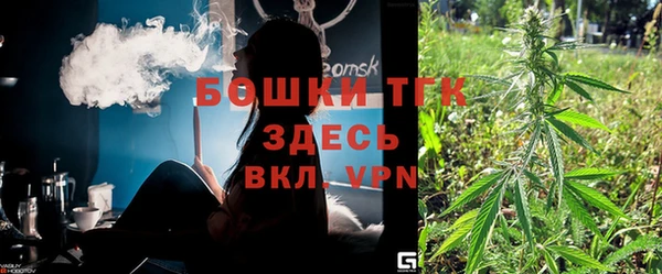 индика Новочеркасск