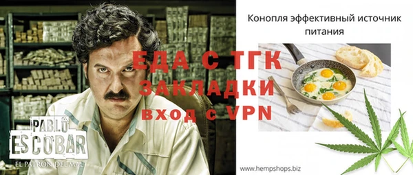 дмт Переславль-Залесский