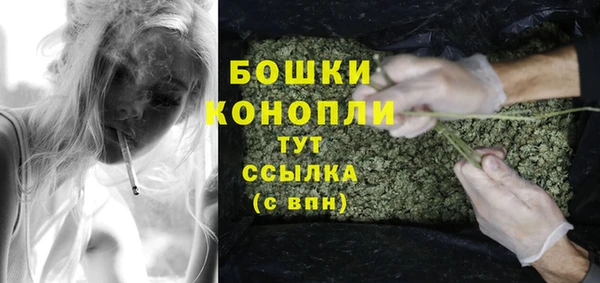 спайс Пересвет