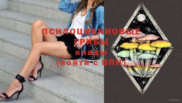 ГАЛЛЮЦИНОГЕННЫЕ ГРИБЫ Остров