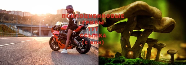 дмт Переславль-Залесский
