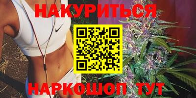 индика Будённовск