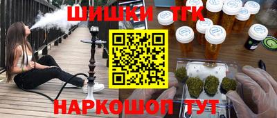 индика Будённовск