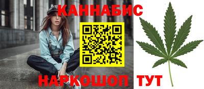 индика Будённовск