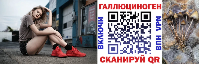Псилоцибиновые грибы GOLDEN TEACHER  Клинцы 