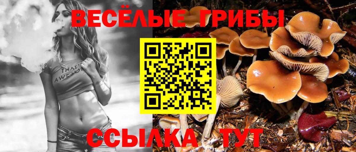 АМФЕТАМИН Клинцы