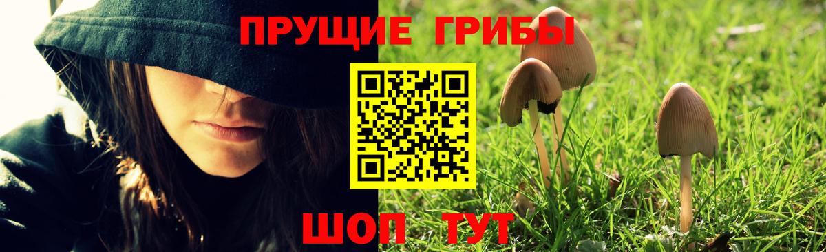 где найти наркотики  Галлюциногенные грибы Psilocybe  Псилоцибиновые грибы GOLDEN TEACHER  Вход с VPN  Клинцы 